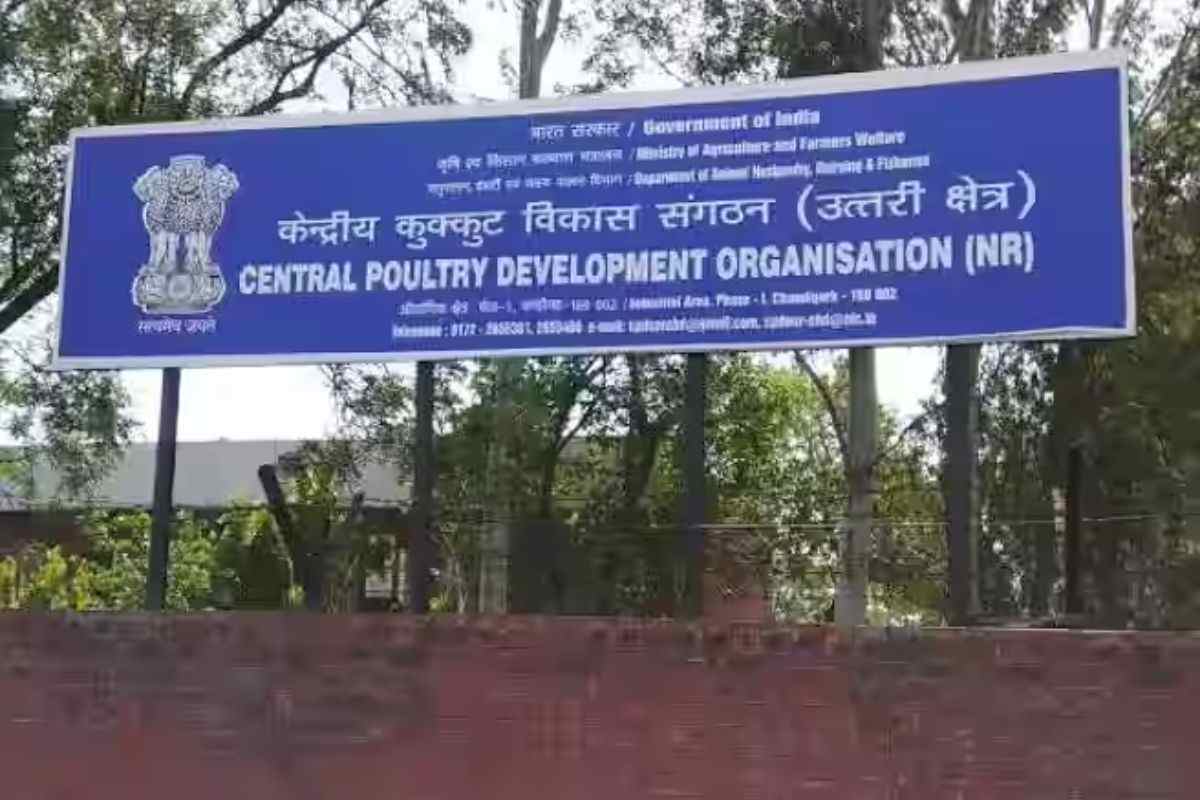 Central Poultry Development Organization Recruitment 2024