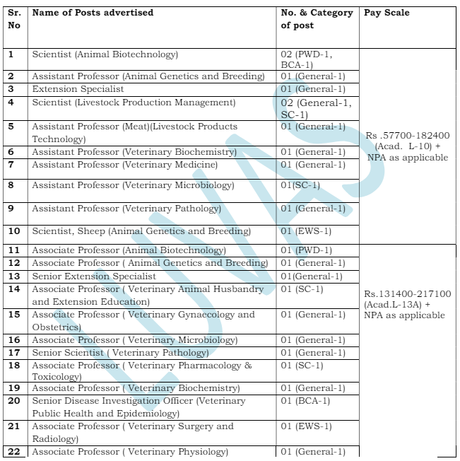 Luvas hisar vacancy detail 2024 teaching post