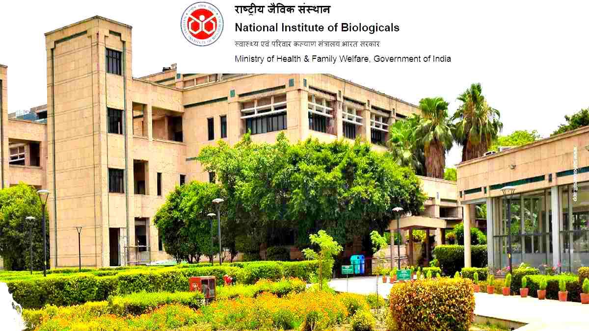 National Institute of Biologicals Recruitment 2024