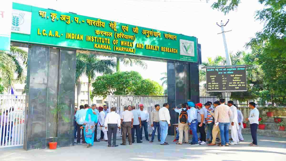 IIWBR Karnal